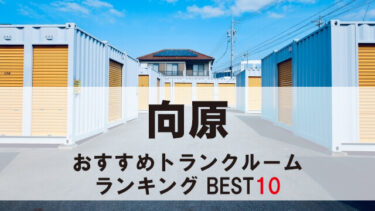 向原
